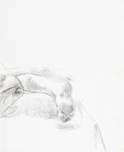 Particolare anatomico, punta d'argento su carta preparata, 21x15cm, 2009